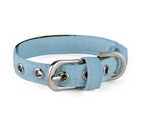 Lake Esrum Pet Collar Easy Snap on Buckle Adjustable Collar with 5 Hole Positions Training Collar for Large Medium and Small Pets,Pet Supplies,Stuff,Accessories