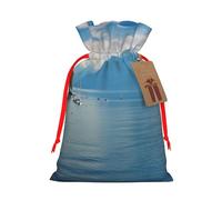 Lake Geneva Printed Christmas Drawstring Bags Reusable Bag for Christmas Party Xmas Gift Wrapping, Red Ribbon, M