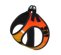 Lake Guitar Reflection Compact Pet Suspender Vest-The Perfect Small Pet For A Comfortable Walk