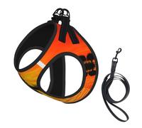 Lake Guitar Reflection Compact Pet Suspender Vest-The Perfect Small Pet For A Comfortable Walk