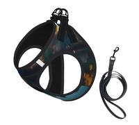 Lake Guitar Reflections Printing Dog Summer Harness With Leash Set,Adjustable And Reflective Step-In Puppy Pet Vest Harnesses