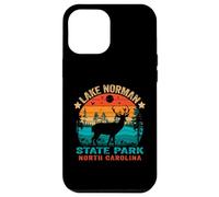 Lake Norman State Park North Carolina Retro Sunset Souvenir Case for iPhone 12 Pro Max