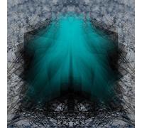 Lake Of Violet - The Startling Testimony of Plumb Lines