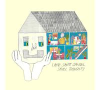 Lake Saint Daniel - Small Thoughts (Coke Bottle Clear) [Vinyl LP] [VINYL]