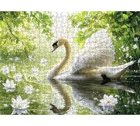 Lake Swan Puzzle - 3000 Piece Jigsaw Puzzles for Adults - The Back Features Printed Letter Guides - The Pieces fit Together Snugly - Wooden Puzzles for Adults - Gifts Family 48.0 X 31.9 Inch s7h-505