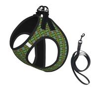 Lake with Boats Canoes Park Print Step in Dog Harness and Leash Set,Adjustable Reflective Harness for Small Dogs Cats