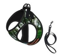 Lake with Boats Canoes Park Print Step in Dog Harness and Leash Set,Adjustable Reflective Harness for Small Dogs Cats