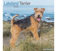 Lakeland Terrier 2026 Calendar | Square Wall Calendar | Dog Breed Gift | Plastic Free Packaging | by Avonside Publishing