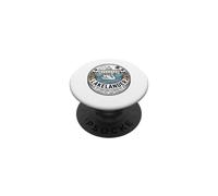 Lakelander Florida Swan Lake Architecture Graphic PopSockets Adhesive PopGrip