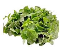 Lakshmi Stores - Fresh Arai Keerai (Indian Amaranth Leaves) 2 Bunch | Leafy Green Vegetable, Red Spinach, Tamil Keerai, Cooking Greens for Poriyal, Sambar, Curry & Stir Fry (2 Bunch)
