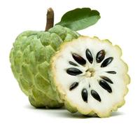 Lakshmi Stores - Fresh Custard Apple 500g - Premium Sugar Apple Fruit, Sweet Tropical Sitaphal, Farm Harvested Ready to Eat, Ideal for Juice, Smoothies, Desserts and Healthy Snacks