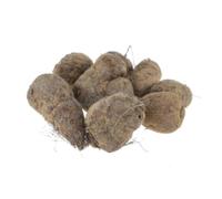 Lakshmi Stores - Fresh Koorka Chinese Potato 1KG | Fresh Kizhangu Root Vegetable | Nutty Taste Tuber for Curry Roast Fry Traditional South Indian Cooking (1 KG)