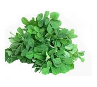Lakshmi Stores - Fresh Methi Leaf, Fenugreek Leaves, Indian Herbal Cooking Greens for Curry, Sabzi, Paratha & Dal, Farm Fresh Bunch (2)
