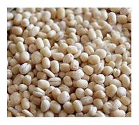 Lakshmi Stores - Natures Urid Dal Whole 500g | Skinless Whole Black Gram White Urad Dal | Sabut Urad Gota | Indian Lentils for Idli Dosa Batter Dal Fry Cooking