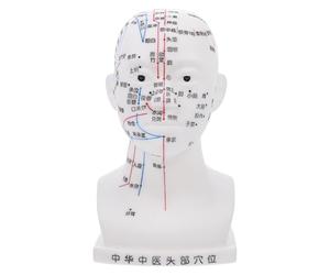 LALADEFIEE Acupuncture Model White PVC Material with Ergonomic Design and Accurate Acupoint Points for Classroom Health Demonstrations and Teaching Purposes