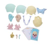 LALADEFIEE Anatomical Human Skull Model Detachable Skeleton for Medical Study Detailed Lifelike Skull Anatomy Teaching Tool Material for Students and Professionals