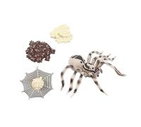 LALADEFIEE Creative Animal Growth Display Models Realistic Simulation Ornaments for Storytelling and Educational Play Inspiring Imagination and Learning Animal Decoration for Home and Party