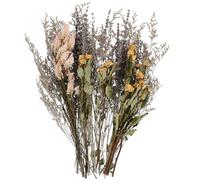 LALADEFIEE Dried Rose Decor Wedding Lavender Prop Rustic Farmhouse Style Assorted Color Dried Plants Bouquet for Bridal Shower Parties