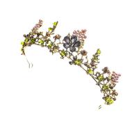 LALADEFIEE Green Bridal Crown Headband with Rhinestones, Nature-Inspired Style Wedding Headdress for Women, Fashion Hair Accessory for Photography and Party