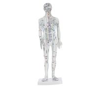 LALADEFIEE Human Acupuncture Model Male Mannequin with Precise Pressure Point and Meridian Mapping for Traditional Chinese Medicine Teaching and Practice Sturdy Design Acupoint Display for