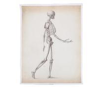 LALADEFIEE Human Anatomy Poster Skeletal System Chart Clear Font Educational Anatomy Physiology Teaching Aid for Schools Hospitals Laboratories