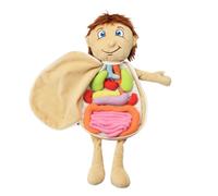 LALADEFIEE Human Body Anatomy Puzzle Soft Plush Educational Organ Model for Preschool Learning Aid for Intellectual Development Fun