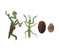 LALADEFIEE Mantis Life Cycle for Early Education Realistic Insect Growth Model for Preschool Science Teaching Storytelling Role-playing and Interactive Learning