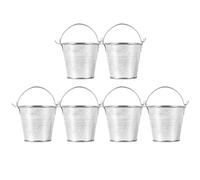 LALADEFIEE Mini Metal Flower Buckets 6Pcs with Handles for Desktop Planters and Garden Decor Rustic Iron Buckets for Florist Shop and Home Arrangement