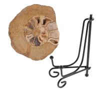 LALADEFIEE Model and Teaching Tool and Geology Enthusiasts for Mineral Collectors Natural Mineral Specimen Visually Stunning and Aesthetic Charm for Table Decor