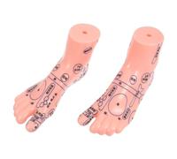 LALADEFIEE Realistic Foot Model for Teaching and Display Foot Reflexology Model Showing Detailed Acupressure Points for Students and Experts
