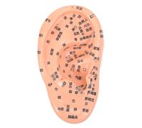 LALADEFIEE Realistic Human Ear Model for Reflexology and Acupuncture Training, PVC Material with Detailed Reference Table of Chinese Acupoints, Suitable for Teaching Acupuncture and Massage