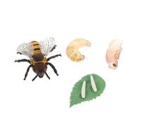 LALADEFIEE Simulation Bee Growth Cycle Model for Plastic Educational Playthings Realistic Honey Bee Life Stages to Inspire Curiosity and Natural Science Learning for Boys