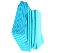 LALAFINA 10pcs Disposable Pet Pads for Puppies and Aging Dogs, Super Absorbent Pulp and Polymer Pvc Material, Practical Use as Alternative to The Outdoors Or Pet Cage Training
