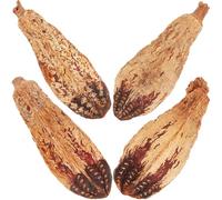 LALAFINA 4pcs Natural Fruit Parrot Chewing for Birds and Pets Small Bird with Foraging and Chewing Features Suitable for Cockatiel