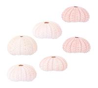 LALAFINA 6Pcs DIY Sea Urchin Shell Planters Natural Conch Shells, White Succulent Air Plant Pots for Home Office Tabletop Garden Decor Random Color Random Color