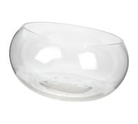 LALAFINA Glass Fish Bowl with Stable Design for Goldfish and Hydroponic Plants, Multi-functional Tabletop Aquarium for Home and Office Decoration