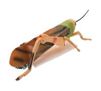 LALAFINA Grasshopper Morphology Model for Biology Lab with Detachable Pvc Parts, Accurate Representation for Hands-on Teaching Demonstrations in Schools and Science Classrooms