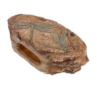 LALAFINA Realistic Resin Dragonfly Insect for Display, Prehistoric Paleontological Specimen Decoration with Unique Design for Terrarium and Science Classroom Use