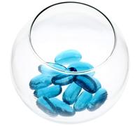 LALAFINA Small round Glass Globe Fish Tank with Sky Blue Fluorescent Stone Set, Mini Tabletop Aquarium for Living Room and Office Decoration