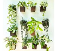 LaLaGreen Indoor Planter Box for Plants (4x4 Inch, 12 Pack) Small Square Wooden Wall Mounted Planters Wood Window Boxes Hanging Flower Pot Plant Holder Outdoor Herb Modern Vertical Garden Home Decor