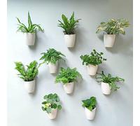 LaLaGreen Wall Mounted Planters for Indoor Plants - 10 Pack, 5 Inch Self Watering Plastic Pot, Living Hanging Eco Wall Planter System, Trendy Live Wall Garden for Herb, White