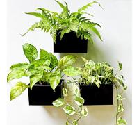 LaLaGreen Wall Planter - 3 Pack, 6 Inch Wall Mount Planters for Succulents Black, Rectangular Hanging Metal Flower Pot, Long Window Boxes Fence Air Plants Holders Floating Garden Shelf for Deck Indoor