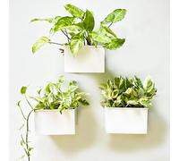 LaLaGreen Wall Planter - 3 Pack, 6 Inch Wall Mount Planters for Succulents White, Rectangular Metal Hanging Flower Pot, Window Box Fence Railing Air Plants Holders Plant Shelf Indoor Rustic Decor