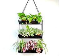 LaLaGreen Wall Planters - 16 Inch Wall Planters for Indoor Plants, 3 Tier Galvanized Succulent Wall Mounted Planters, Metal Boho Window Herb Garden, Rectangle Hanging Vertical Shelf Shower Plant Pot