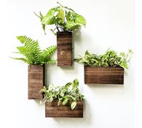 LaLaGreen Wood Planter Box for Plants (4 Pack) Wooden Hanging Wall Planters for Indoor Plant Holder Vase for Dried Flowers, Modern Living Room Bedroom Kitchen Home Office Decor