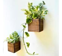 LaLaGreen Wood Planter Box for Plants (4x4 Inch, 2 Pack) Small Square Wall Planters for Indoor Plant, Window Hanging Flower Pot Wooden Boxes for Table Centerpiece Herb Balcony Home Garden Office Decor
