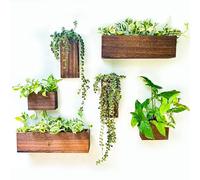 LaLaGreen Wood Planter Box for Plants (6 Pack) Wooden Hanging Wall Planters for Indoor Plant Holder Vase for Dried Flowers, Modern Farmhouse Wall Decor Living Room Bedroom Kitchen Office Home Garden