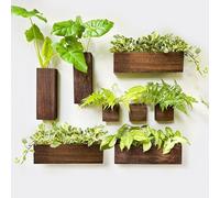 LaLaGreen Wood Planter Box for Plants (8 Pack) Wooden Wall Hanging Planters for Indoor Plant Holder Vase for Dried Flowers, Modern Country Rustic Wall Decor Living Room Bedroom Office Home Garden