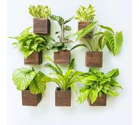 LaLaGreen Wood Planter Boxes (8 Pack, 4x4 Inch) Small Square Wall Mounted Planters for Indoor and Outdoor Plants, Herb Wooden Box Hanging Flower Pot Plant Holder Vertical Garden Home Decor