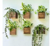 LaLaGreen Wood Planter Boxes for Indoor Plants (4x4 Inch, 6 Pack) Small Square Wall Mounted Planters Flower Pot, Herb Wooden Box Hanging Plant Holder Outdoor Balcony Vertical Garden Modern Home Decor